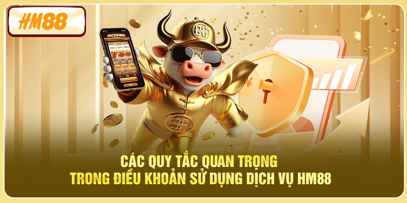 Các quy tắc quan trọng trong điều khoản sử dụng dịch vụ HM88